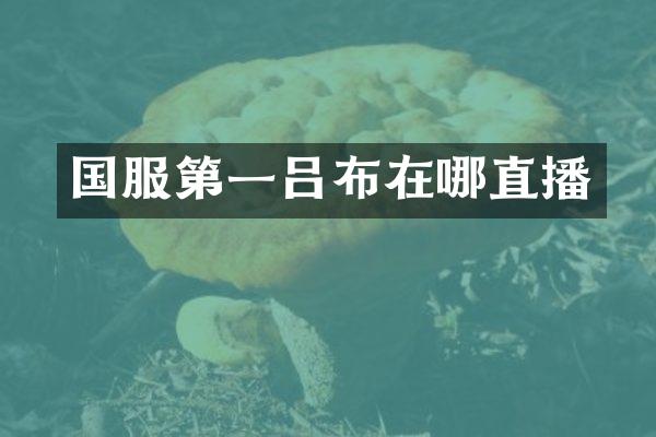 国服第一吕布在哪直播