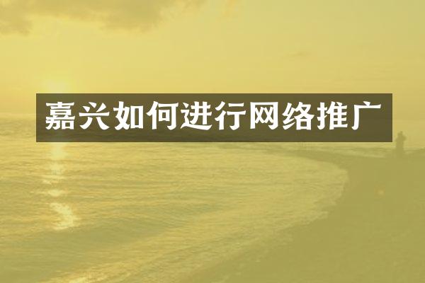 嘉兴如何进行网络推广