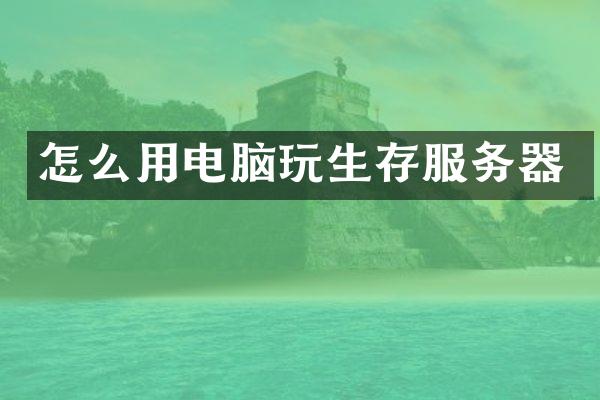 怎么用电脑玩生存服务器