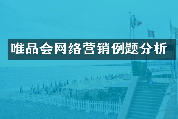 唯品会网络营销例题分析