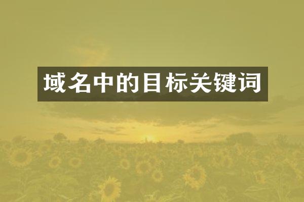 域名中的目标关键词