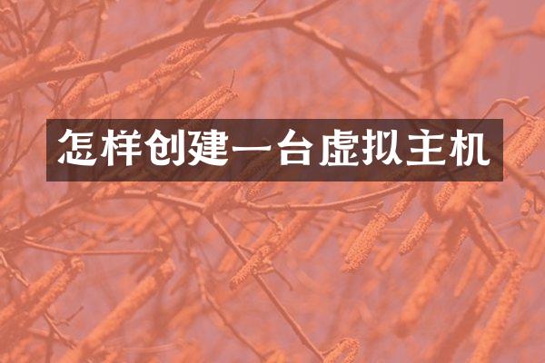 怎样创建一台虚拟主机