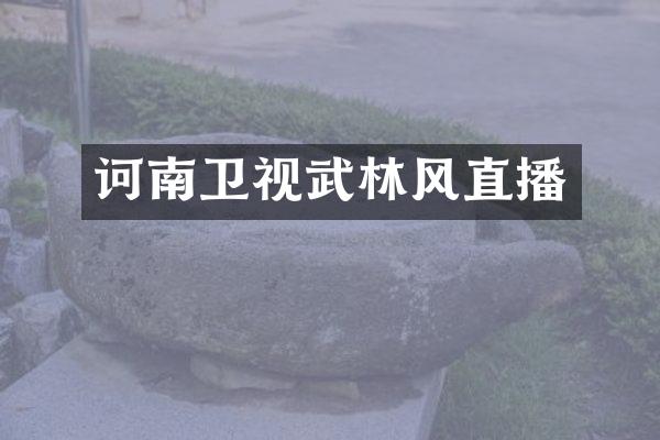 诃南卫视武林风直播