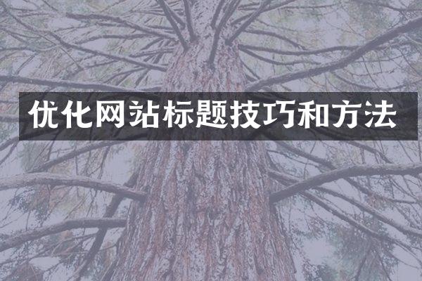 优化网站标题技巧和方法