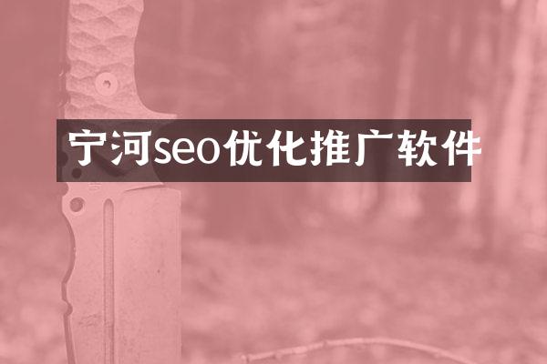 宁河seo优化推广软件