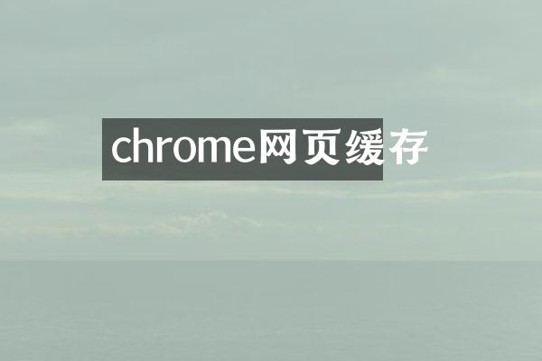 chrome网页缓存