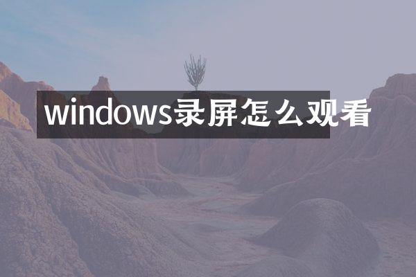 windows录屏怎么观看