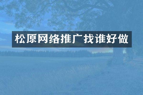 松原网络推广找谁好做