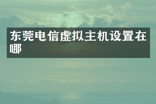 东莞电信虚拟主机设置在哪