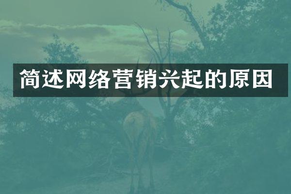 简述网络营销兴起的原因