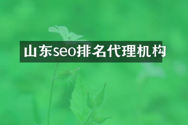 山东seo排名代理机构