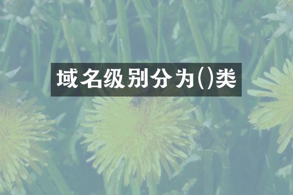 域名级别分为()类