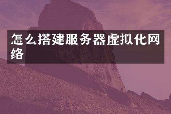 怎么搭建服务器虚拟化网络