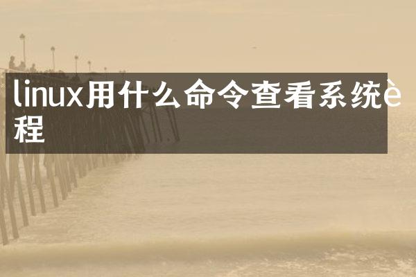 linux用什么命令查看系统进程