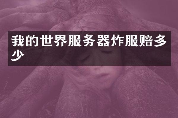我的世界服务器炸服赔多少