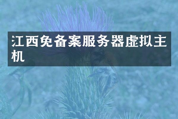 江西免备案服务器虚拟主机