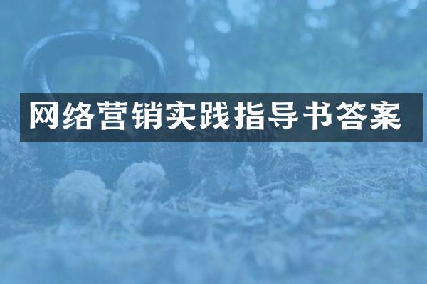 网络营销实践指导书答案