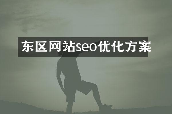 东区网站seo优化方案
