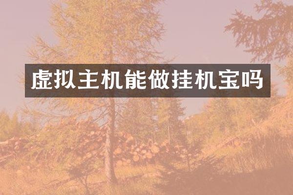 虚拟主机能做挂机宝吗