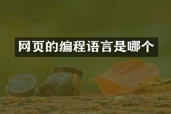 网页的编程语言是哪个