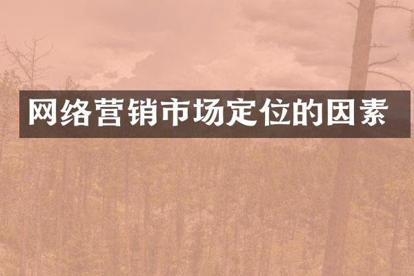 网络营销市场定位的因素