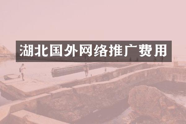 湖北国外网络推广费用