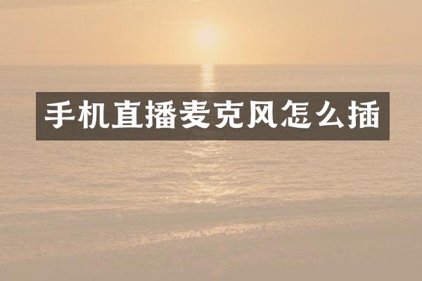 手机直播麦克风怎么插