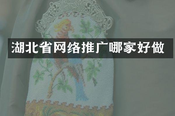 湖北省网络推广哪家好做
