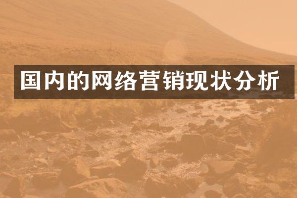 国内的网络营销现状分析