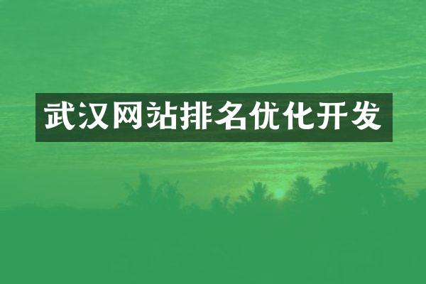武汉网站排名优化开发