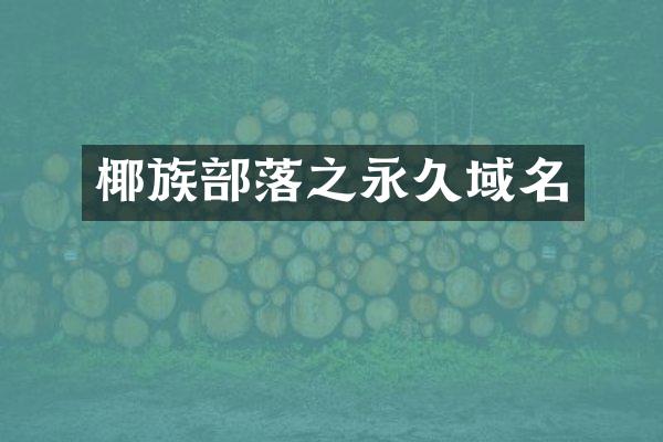 椰族部落之永久域名