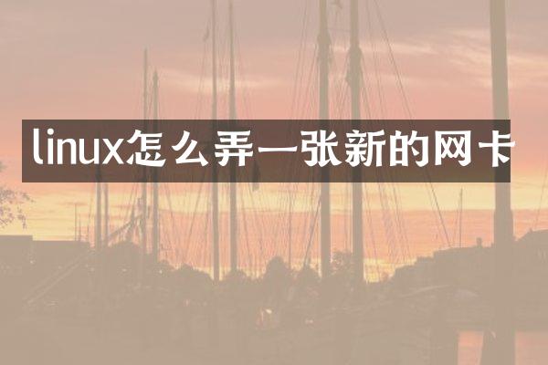 linux怎么弄一张新的网卡