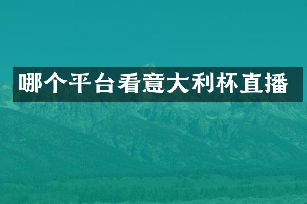哪个平台看意大利杯直播