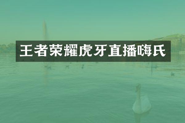 王者荣耀虎牙直播嗨氏