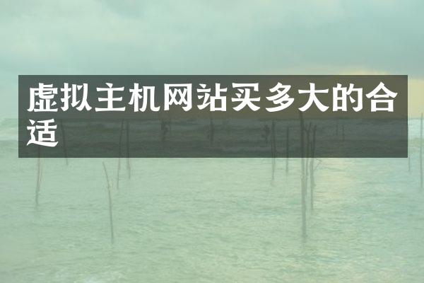 虚拟主机网站买多大的合适