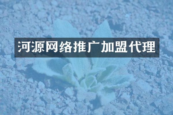 河源网络推广加盟代理