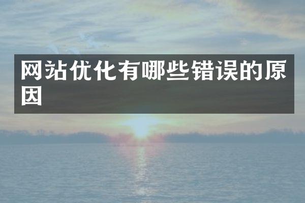 网站优化有哪些错误的原因