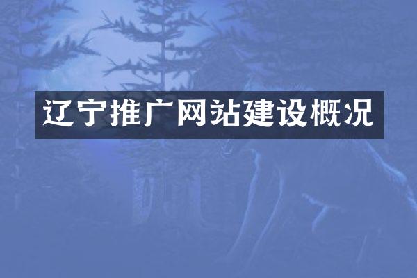 辽宁推广网站建设概况