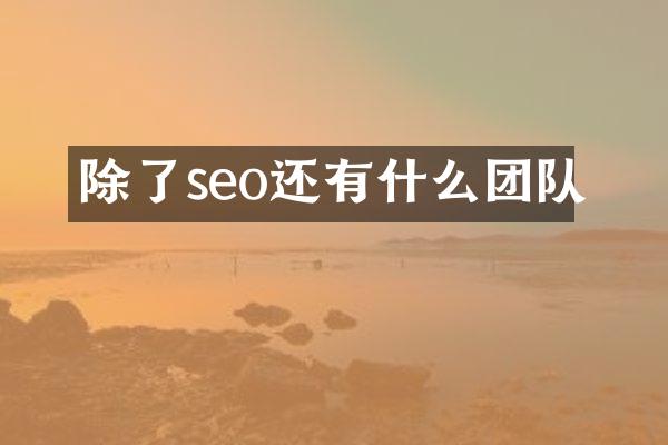 除了seo还有什么团队