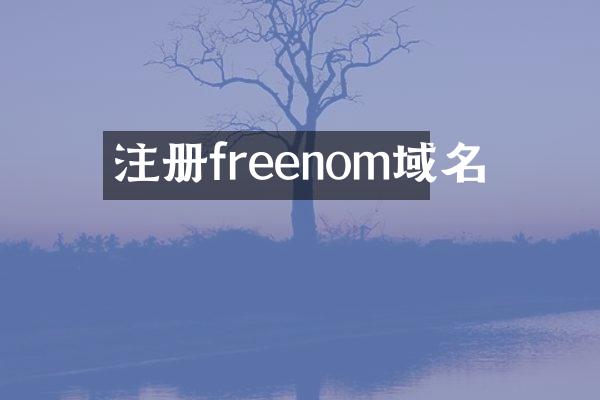 注册freenom域名