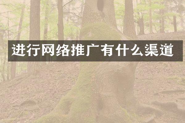 进行网络推广有什么渠道