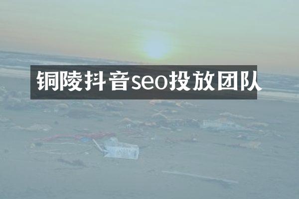铜陵抖音seo投放团队