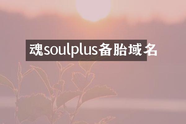 魂soulplus备胎域名