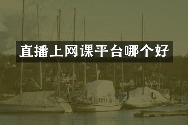 直播上网课平台哪个好