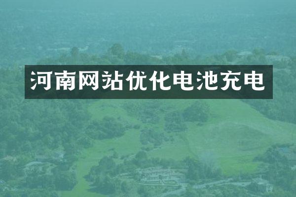 河南网站优化电池充电