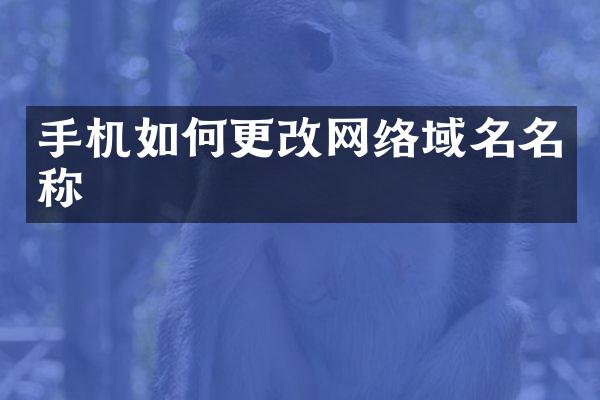 手机如何更改网络域名名称