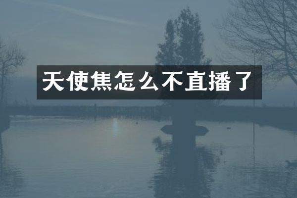 天使焦怎么不直播了