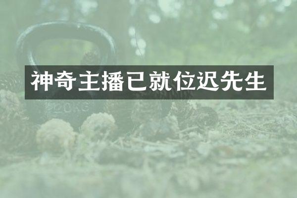 神奇主播已就位迟先生