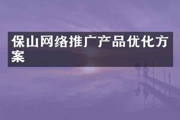 保山网络推广产品优化方案