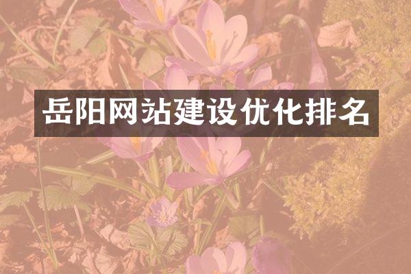 岳阳网站建设优化排名
